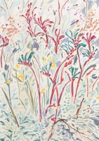 Lot 12. MIRIAM STANNAGE KANGAROO PAWS IN LANDSCAPE