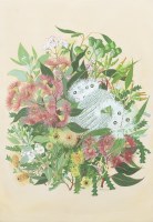 Lot 147. NERELIE DERBYSHIRE BOUQUET IN FEBRUARY