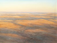 Lot 68. DOUGLAS KIRSOP MORNING IN THE NORTHWEST