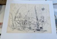 Lot 107. HARALD VIKE NATIVE BUSH