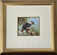 Lot 25. PAUL MARGOCSY AUSTRALIAN LAUGHING KOOKABURRA - ALONE AND LOVING IT