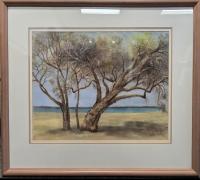 Lot 85. ALMA HOTCHKIN PAPERBARKS