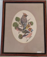 Lot 140. RICHARD MILLINGTON FINCHES
