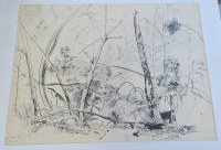 Lot 168. HARALD VIKE NATIVE BUSH