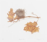 Lot 64. ASHLEY JONES SILVEREYE'S NEST