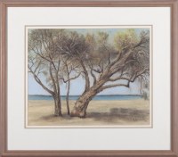 Lot 84. ALMA HOTCHKIN PAPERBARKS