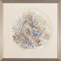Lot 91. PATRICIA NEGUS SPLENDID WREN