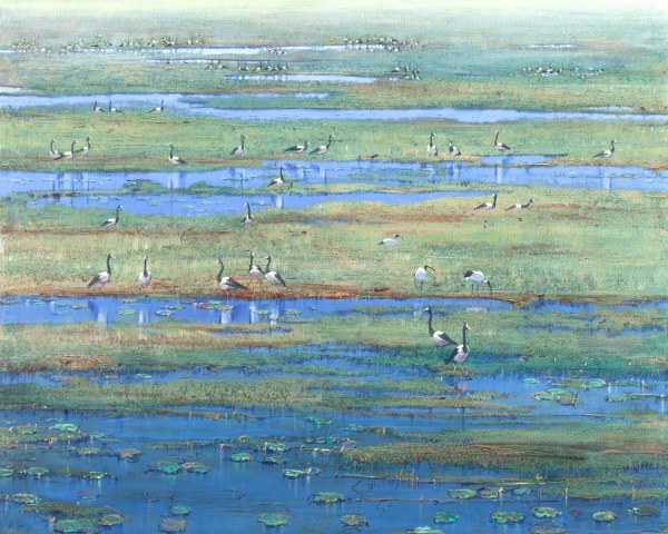 BRENDON DARBY WETLANDS AND WATERBIRDS
