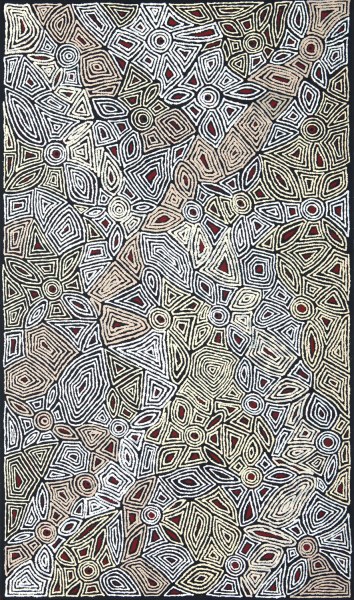 SHARON BUTCHER NAPANANGKA BUSH SEEDS