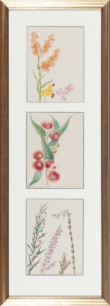 FLORENCE HILDEGARD BASSET WILDFLOWERS (3)