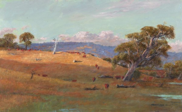 PHILLIP COOK THE OLD RIVERSIDE GUM
