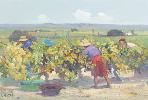 MARGARET BENOIT VINEYARD