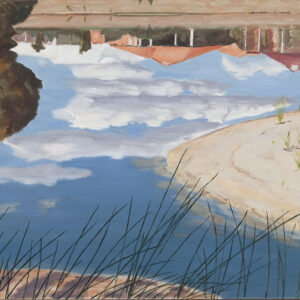 BARBARA CHAPMAN - WOODLAKE REFLECTIONS 2007