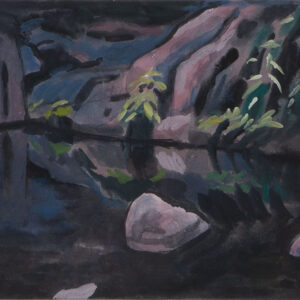 BARBARA CHAPMAN - DARK POOL