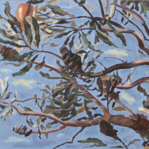 BARBARA CHAPMAN - BANKSIA BRANCHES