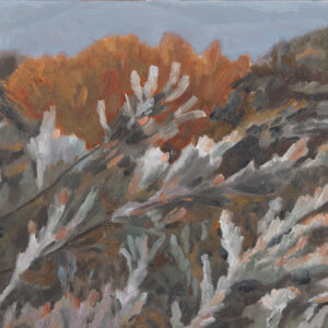 BARBARA CHAPMAN - GARDEN SHRUB WITH ROOFTOP