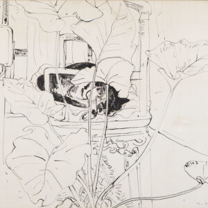 WILLIAM BOISSEVAIN - CAT IN A CANE CHAIR